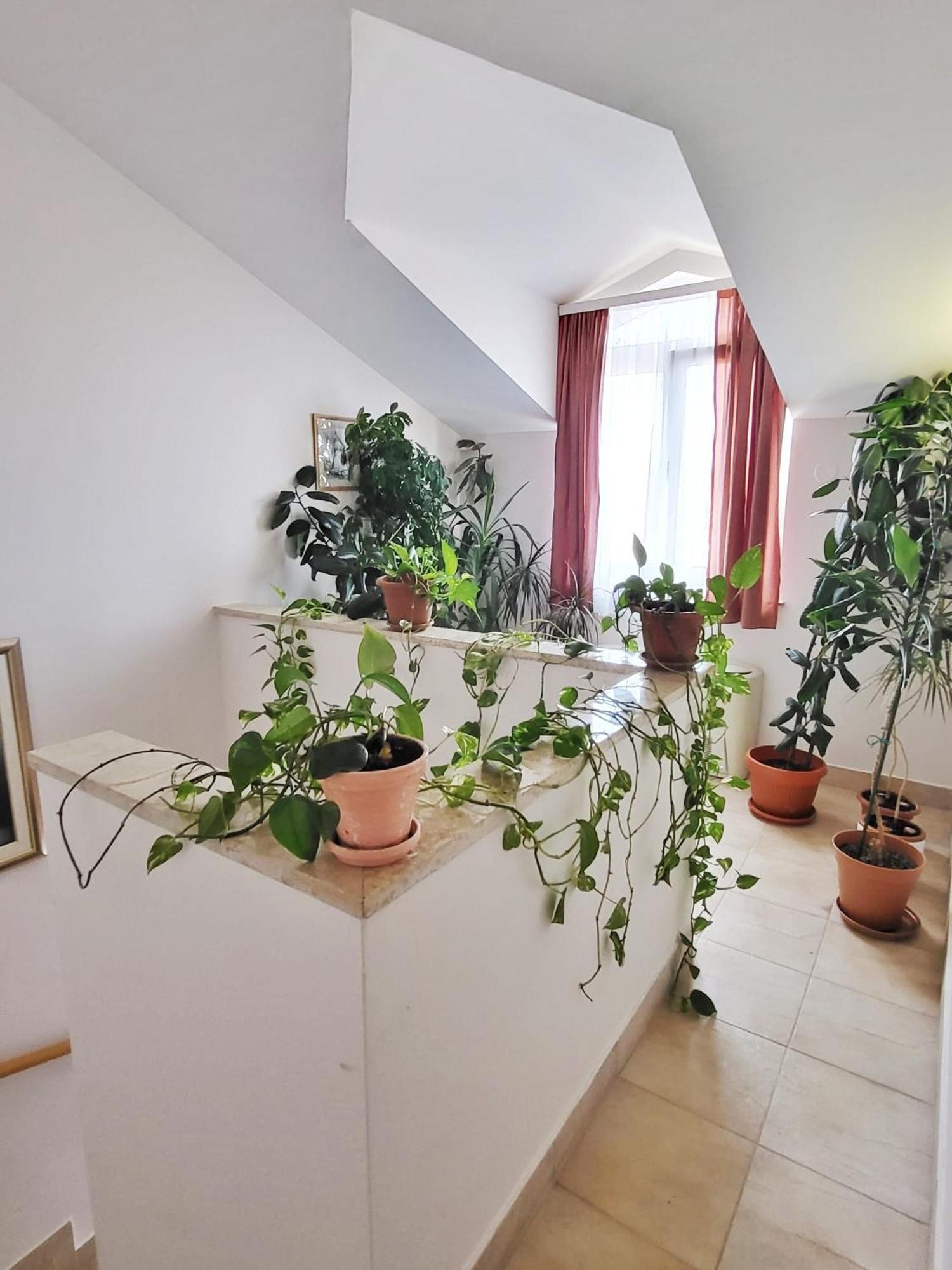 Villa Palcic II Novalja Kültér fotó